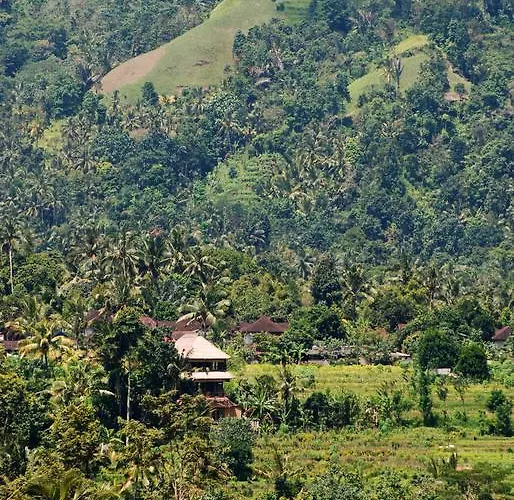 Bebek Biru Gasthof Sidemen (Bali)